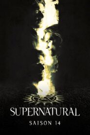 Supernatural: Season 14