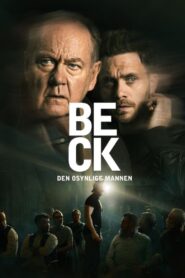 Beck 52 – Den osynlige mannen